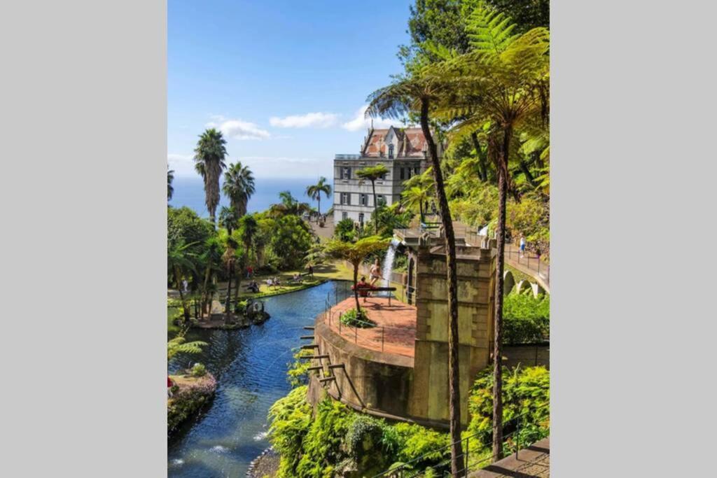 Apartamento Funchal Center Ii