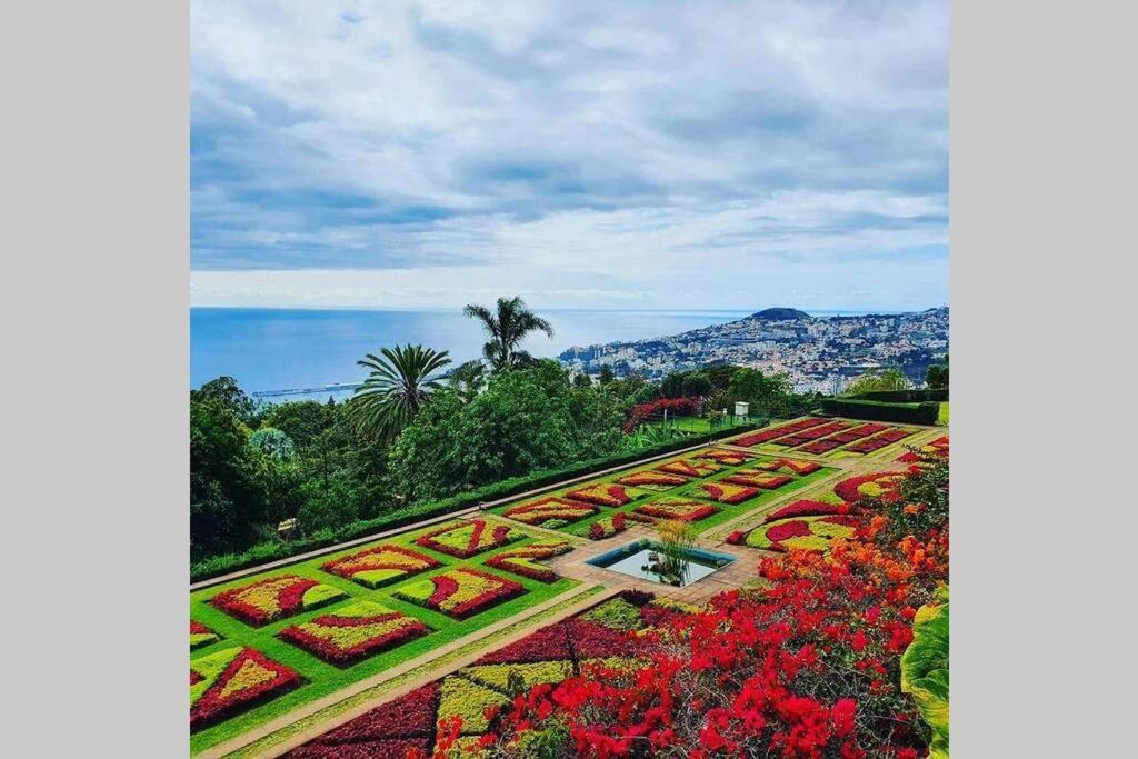 Apartamento Funchal Center Ii